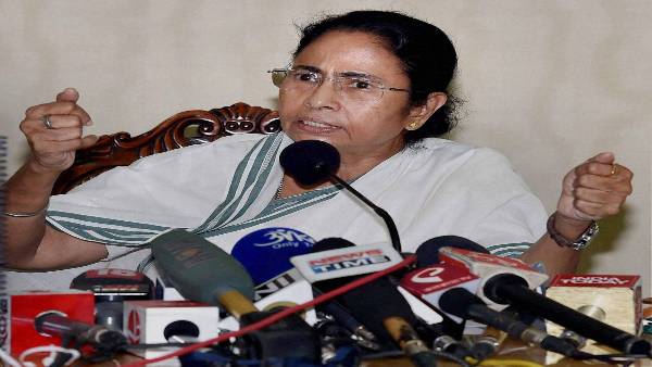 mamta mamta