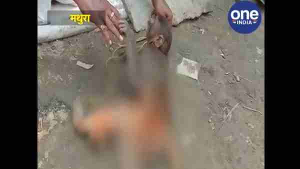 जमीन पर पटक-पटकर तोड़ा पैर