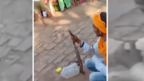 नाग के आग लगाने को भूसा भी रखा