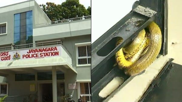 Karnataka Shivamogga rat snake inside photocopy machine Jayanagara police station Karnataka Shivamogga rat snake inside photocopy machine Jayanagara police station