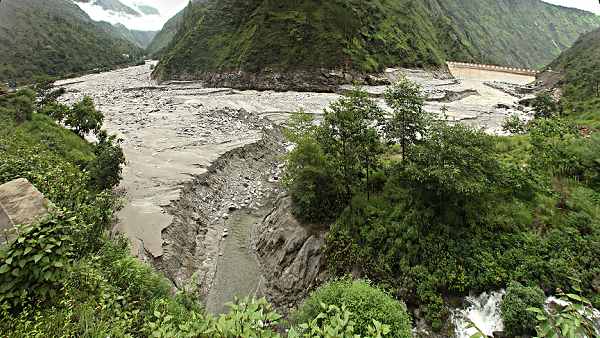 बढ़ते कूड़े-कचरे से हरे-भरे पेड़-पौधों को हो रहा नुकसान