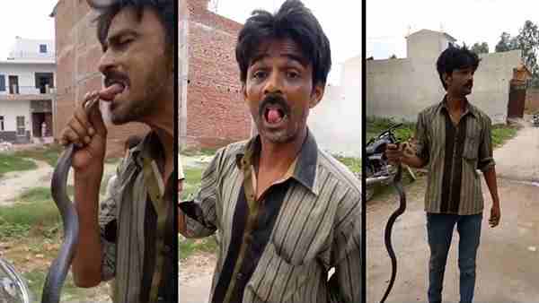 डंसवाने के बाद जमीन पर गिर पड़ा वसीम