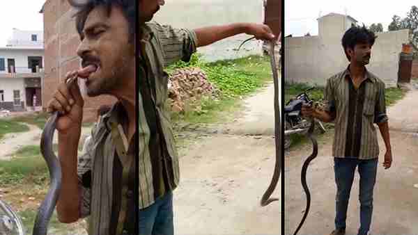 सोशल मीडिया पर वायरल हुआ वीडियो