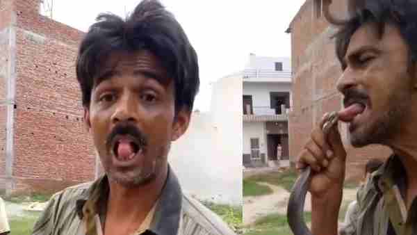 सांप पकड़ने का शौक था वसीम को
