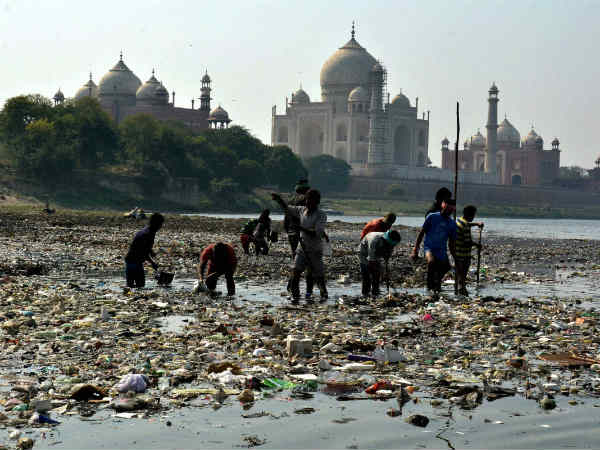 taj taj