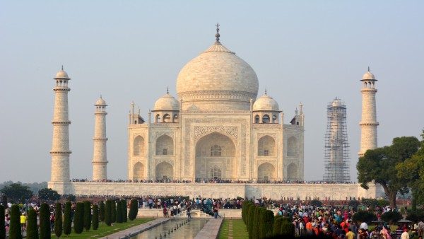 taj taj