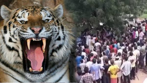 सुबह सवा आठ बजे किया था हमला