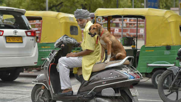 उत्तराखंड में कम देना पड़ेगा जुर्माना