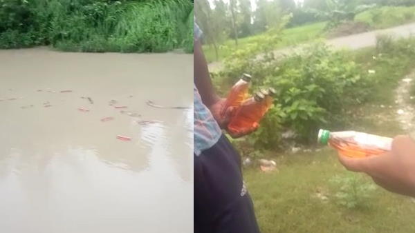 लूटने की मची होड़