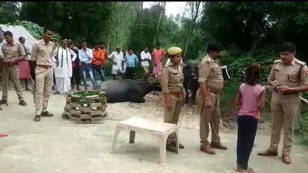 woman killed her husband for her illegal relationship woman killed her husband for her illegal relationship