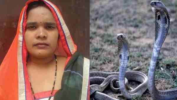 सांप के ऊपर जा बैठी महिला
