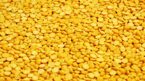 dal dal