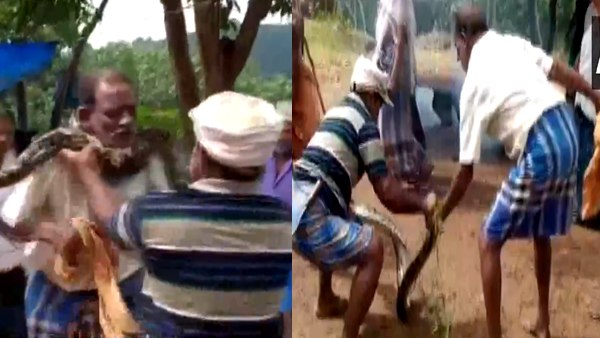 स्थानीय लोगों ने अजगर को गले से निकाला