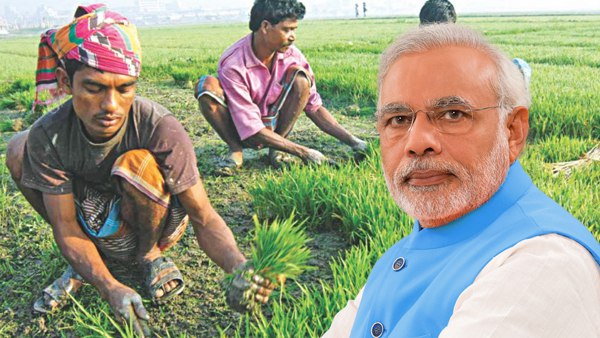 तीन समान किस्तों में 6000 रु दे रही है सरकार