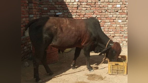 घर की बहुओं ने रसोई में रख दिए गहने और फिर..