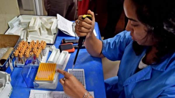dengue, telangana dengue, telangana
