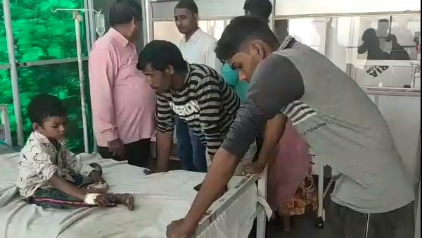bees attack on dussehra jhanki at rajasthan, 60 people injured bees attack on dussehra jhanki at rajasthan, 60 people injured