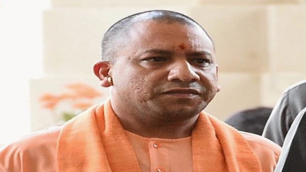 yogi yogi