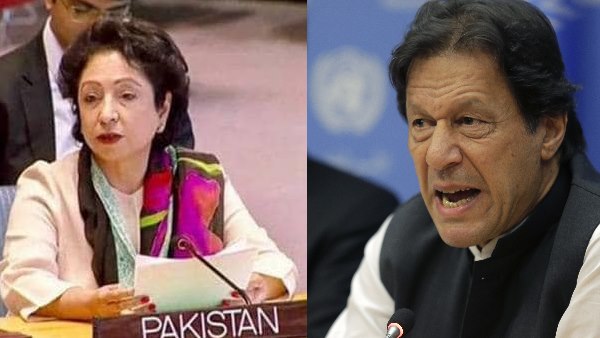 Munir Akram to replace Maleeha Lodhi as Pakistans Permanent Representative to United Nations Munir Akram to replace Maleeha Lodhi as Pakistans Permanent Representative to United Nations