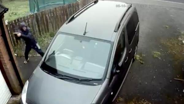 karma video karma video