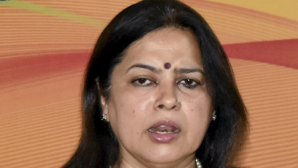 मीनाक्षी लेखी ने क्या कहा था?