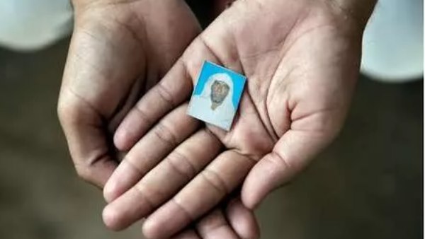 कोर्ट ने माना है कि पहलू खां के पास से बरामद की गईं गायें दुधारू थीं