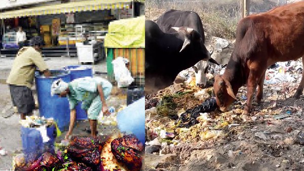 अब घास को मुंह तक नहीं लगाते यहां के मवेशी