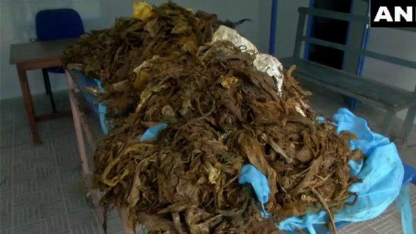 करीब दो साल में गाय के पेट में जमा हुआ होगा इतना प्लास्टिक