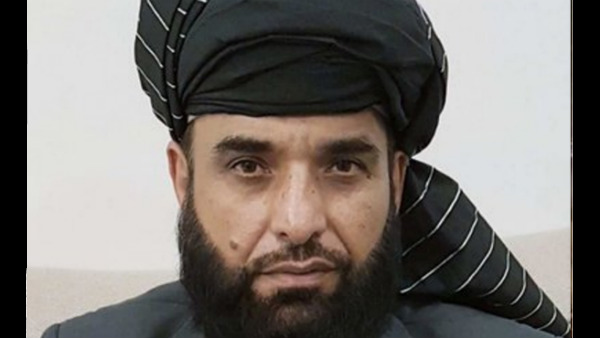 shaheen.jpg shaheen.jpg