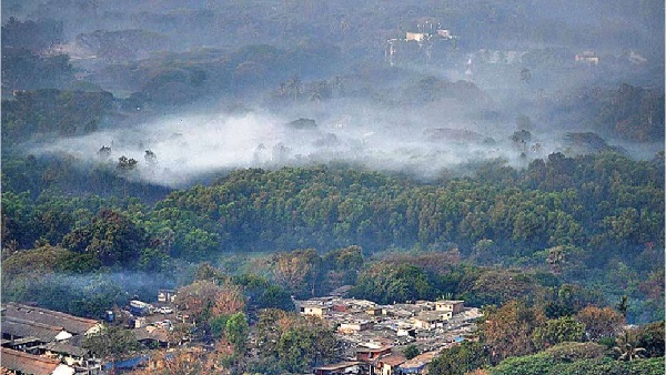 bollywood star anger on social media over cutting trees of aarey colony bollywood star anger on social media over cutting trees of aarey colony