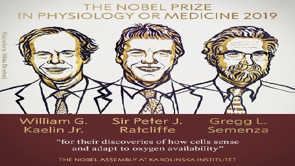 nobel prize for medicine 2019 is announced nobel prize for medicine 2019 is announced