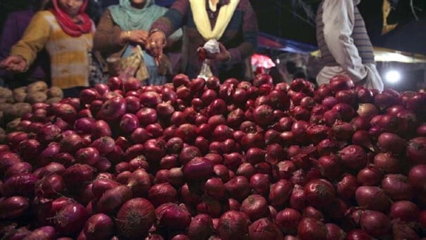 onion onion