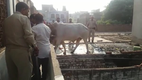 अचानक गिरने लगी सीढ़ी की दीवार