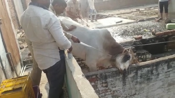 सीढ़ी का दरवाजा रह गया था खुला
