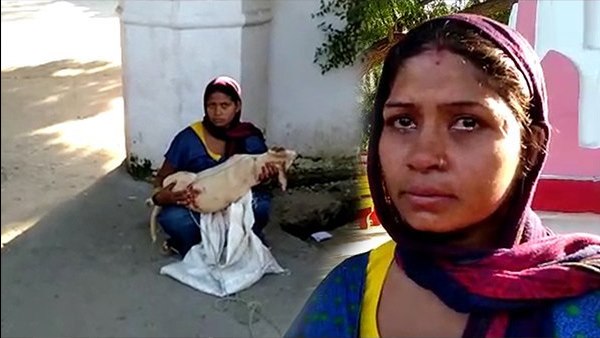 neighbor-killed-dog-victim-owner-complaint-against-him-to-police neighbor-killed-dog-victim-owner-complaint-against-him-to-police