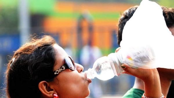 प्लास्टिक का विकल्प क्या?