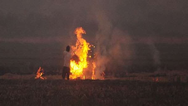 No immediate relief from stubble burning at least November 30 punjab haryana No immediate relief from stubble burning at least November 30 punjab haryana