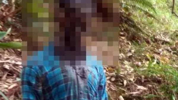 shimla missing boy dead body found in forest shimla missing boy dead body found in forest