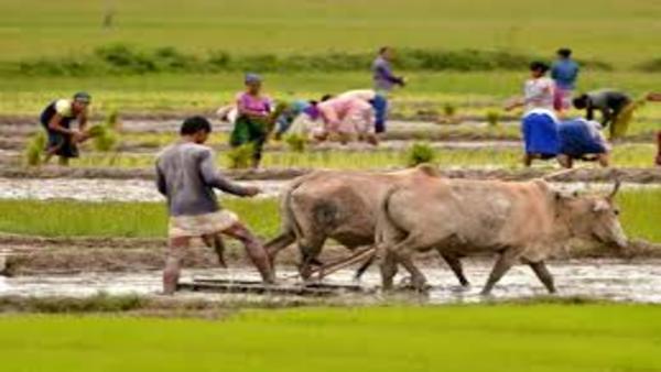 अन्नदाता किसान अन्नदाता किसान