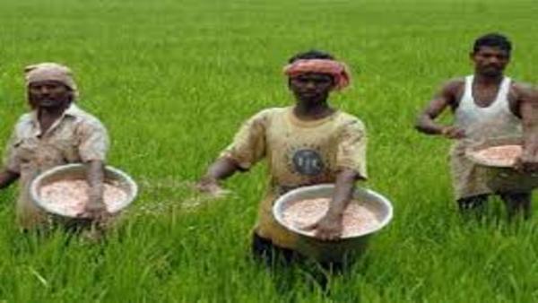 अन्नदाता किसान अन्नदाता किसान