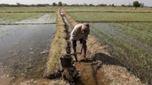 अन्नदाता किसान अन्नदाता किसान