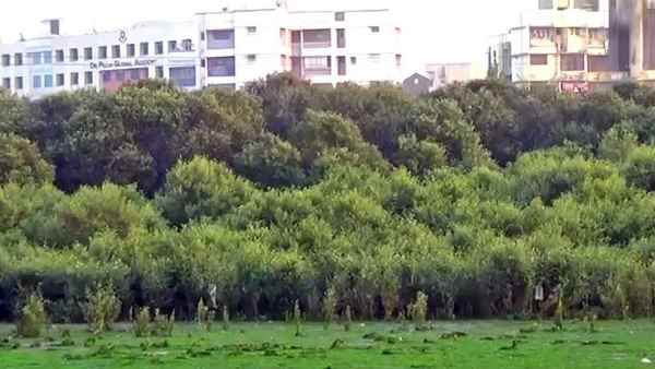 दरों को 708 रुपये प्रति वर्ग मीटर करने का प्रस्ताव