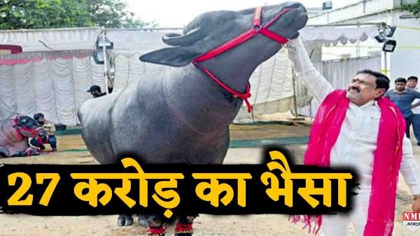 रोजाना करता 5 किमी की सैर