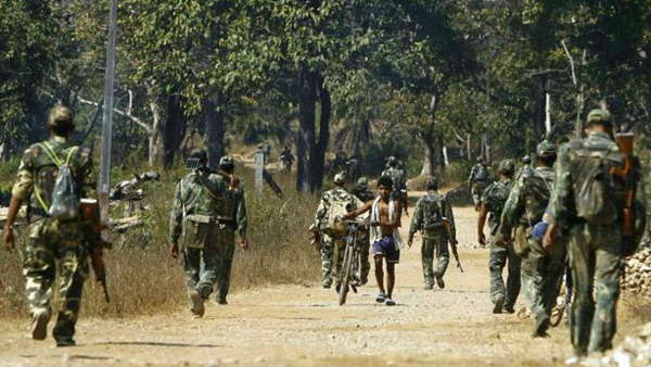 IED bomb Recovers from jharkhand jungle, CRPF search operations IED bomb Recovers from jharkhand jungle, CRPF search operations