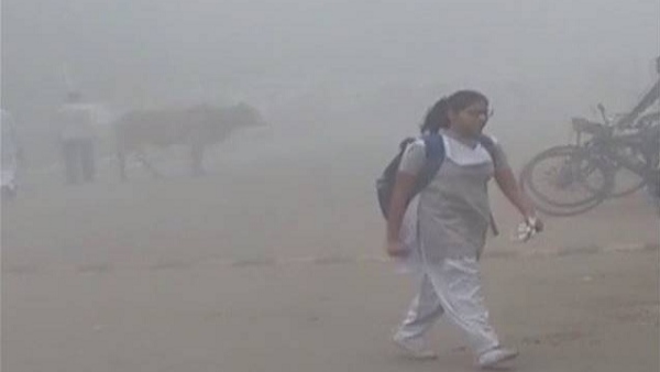 सरकार ने क्या कदम उठाए?