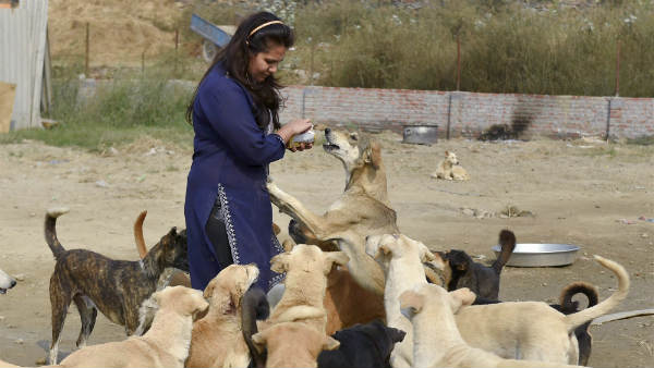 एनिमल राइट्स ऐक्टिविस्ट ने की मदद