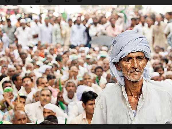 Gujarat: More than 400 farmers reached to High Court for crop insurance Gujarat: More than 400 farmers reached to High Court for crop insurance