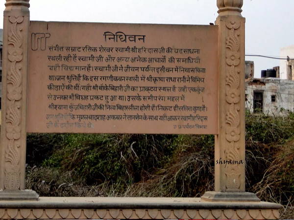 ये है रास मंडल, इसी के अंदर रास रचाते हैं कान्हां