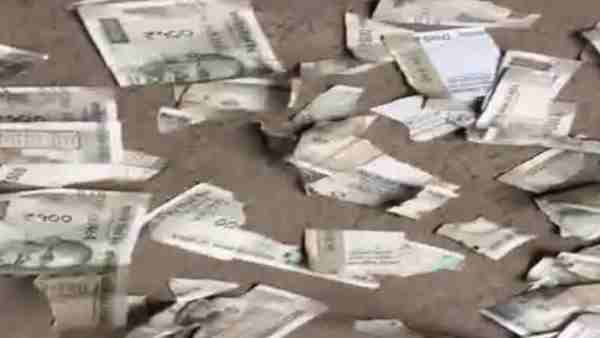 41 thousand rupees cut into small pieces in Agra 41 thousand rupees cut into small pieces in Agra