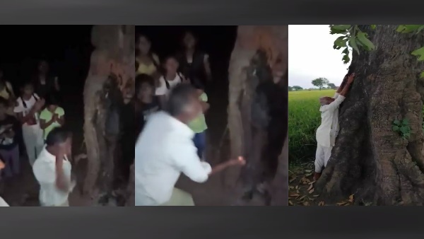 One more miracle tree viral in MP after Mahua Tree One more miracle tree viral in MP after Mahua Tree